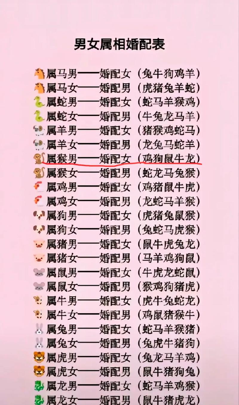 专业属相攻略