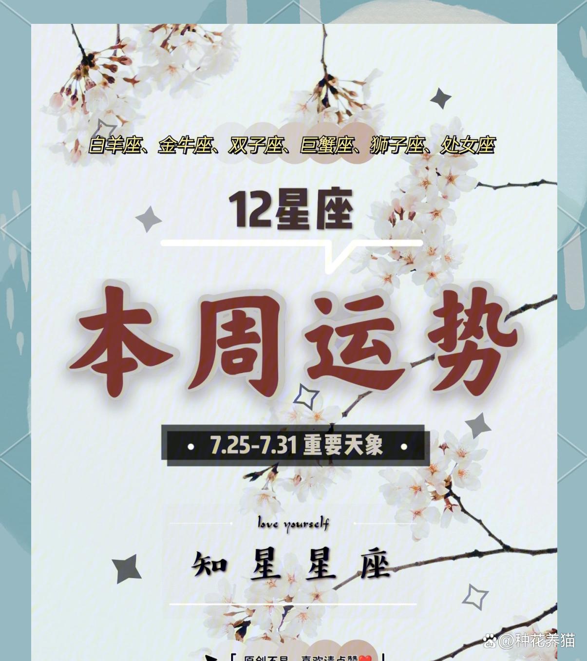 明日运势分析