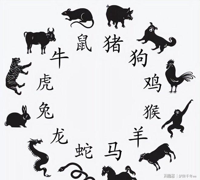 今年生肖好不好