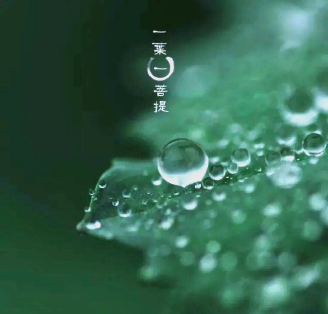 靠谱运势真的吗