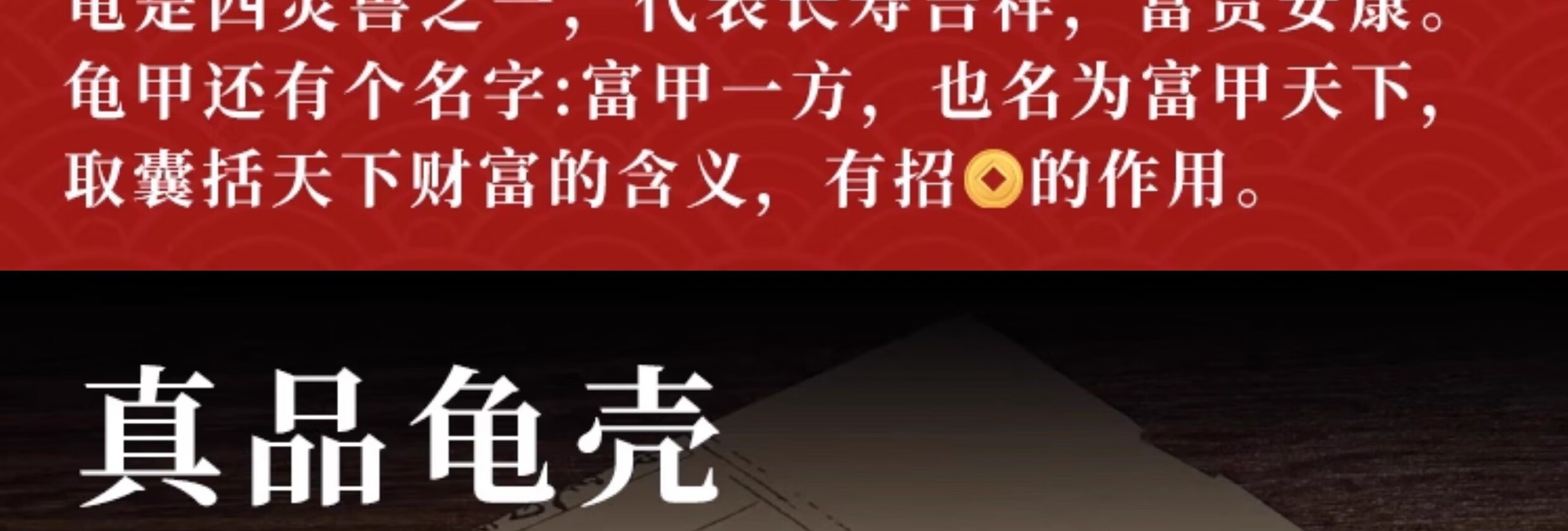 六爻用龟壳占卜的具体步骤的简单介绍