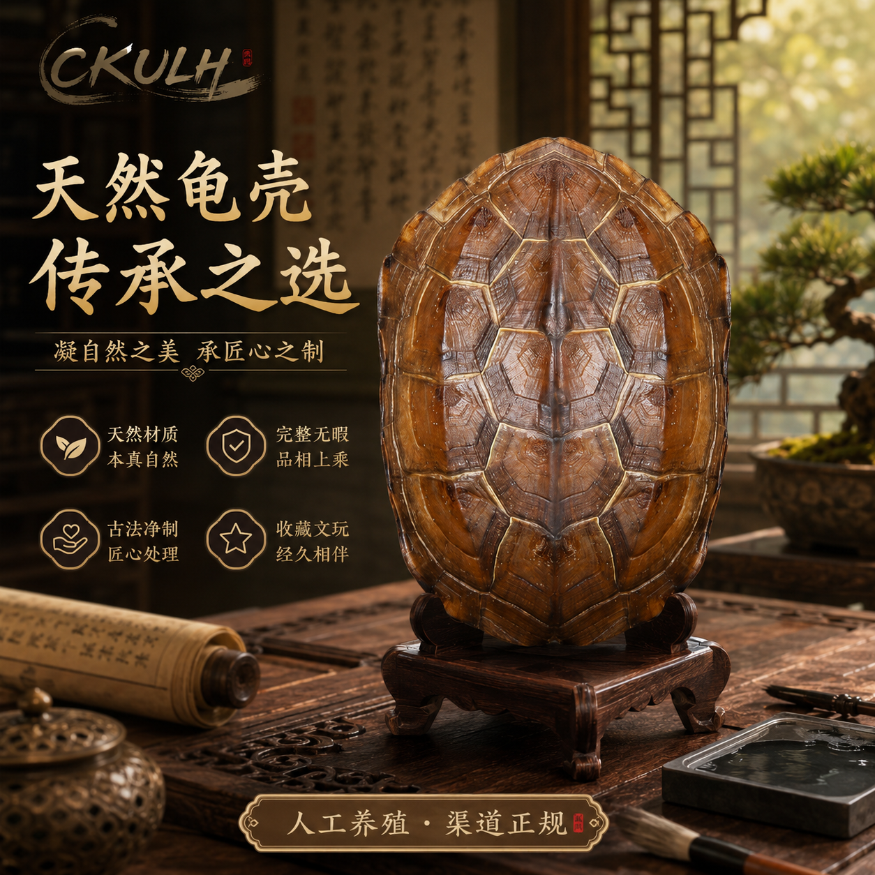 六爻用龟壳占卜的具体步骤的简单介绍
