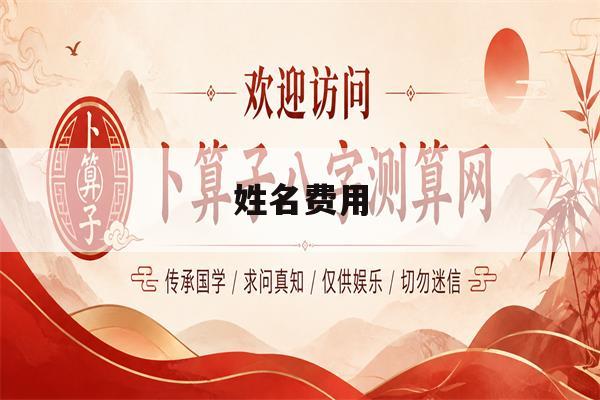 姓名费用(姓名费用合计怎么填) 姓名费用(姓名费用合计怎么填)